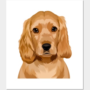 Cocker Spaniel Illustration Posters and Art